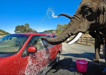 Nissan tvättar sig själv